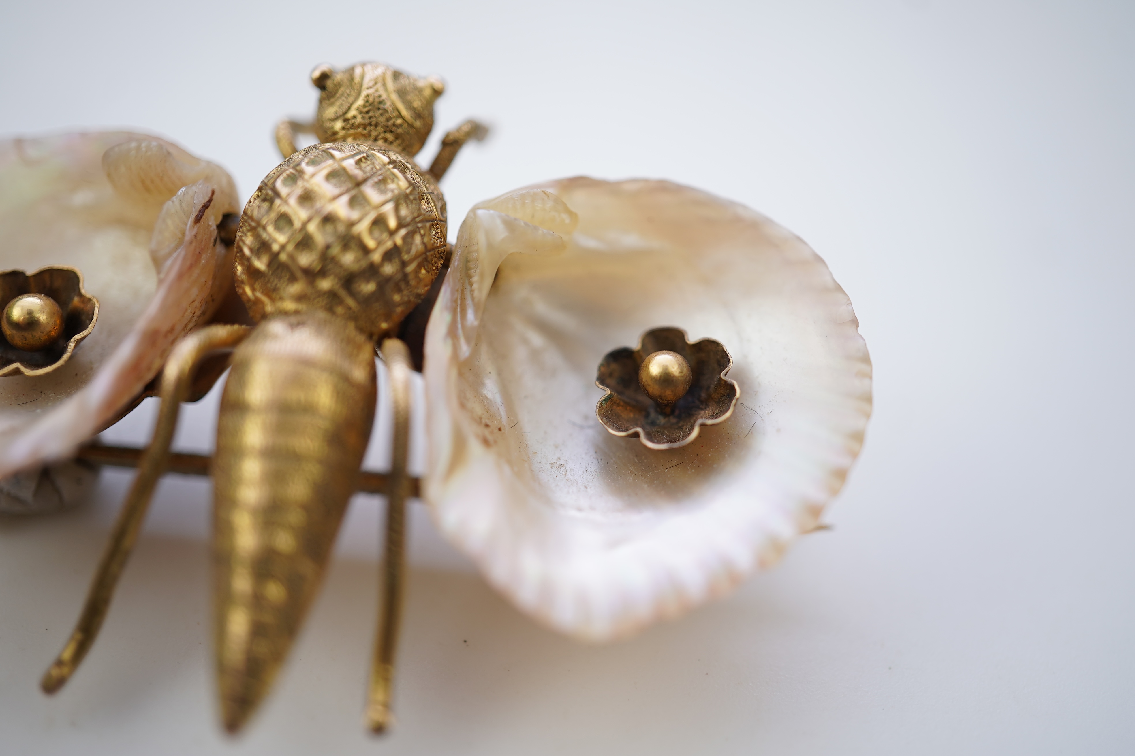 A gold and shell brooch, late 19th century composite